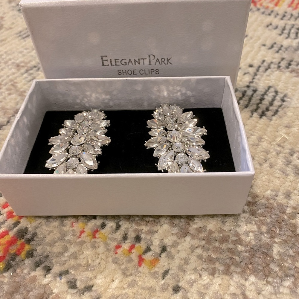 Beautiful crystal shoe clips